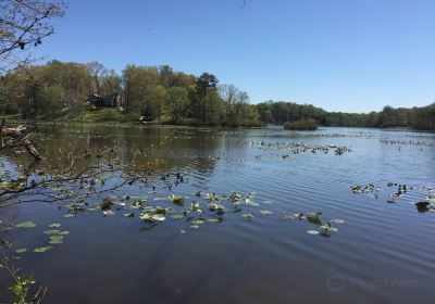 Rockwood Park