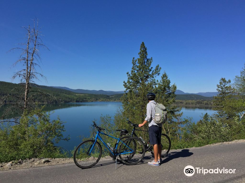 Crawford Kelowna Mountain Biking Test And Review Of The Electric