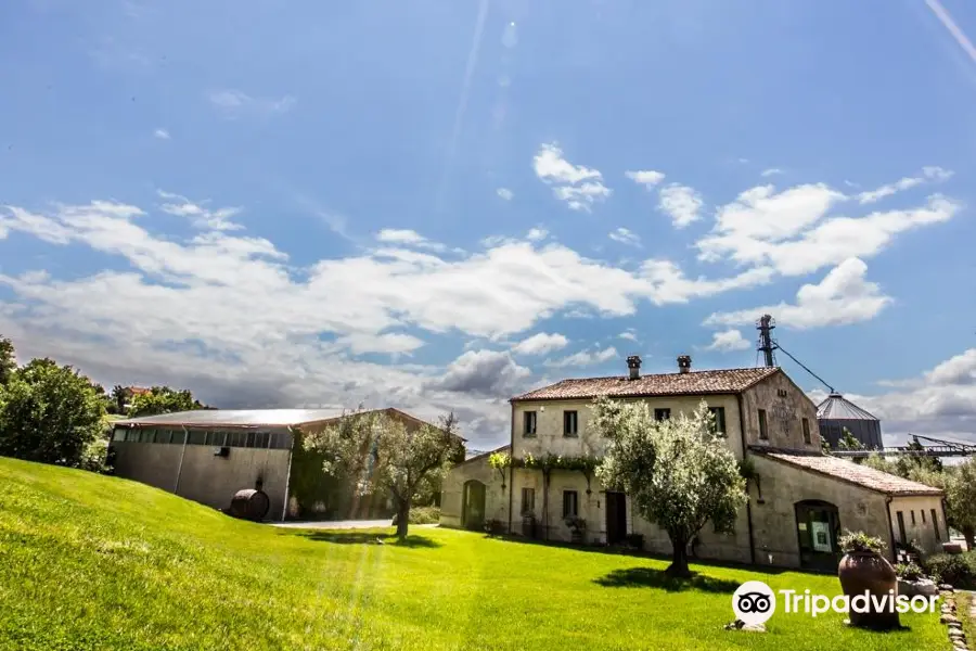 Azienda Agraria Guerrieri