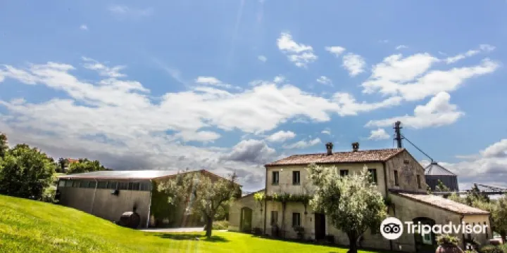 Azienda Agraria Guerrieri