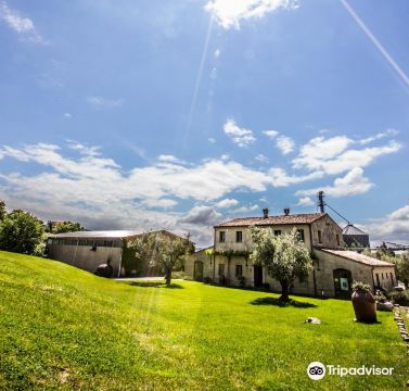 Azienda Agraria Guerrieri