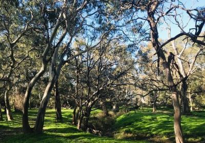 Stewarts Reserve