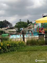 Turtle Splash Water Park