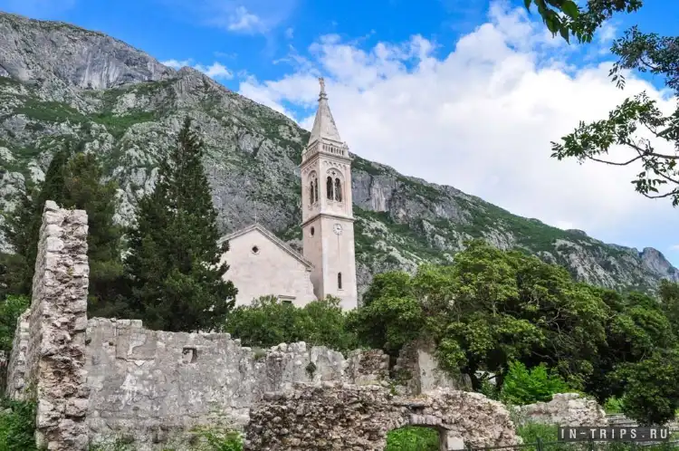 Hotels in Dobrota