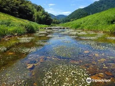 Takimi River Baikamo Park