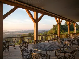 Bluemont Vineyard