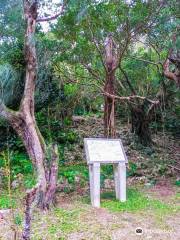 Kakinohana Castle Ruins