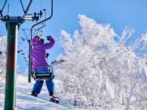 Madarao Mountain Resort