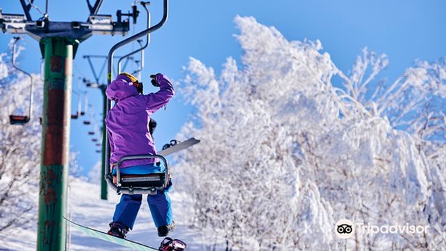 Madarao Mountain Resort