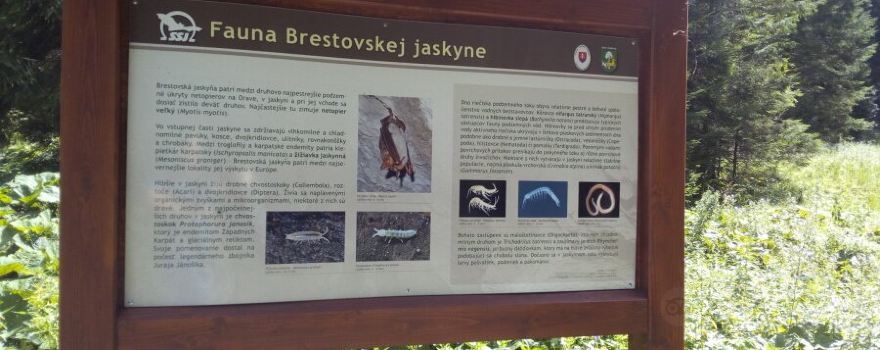 Brestovská Cave