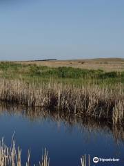 Yellowthroat Wildlife Management Area