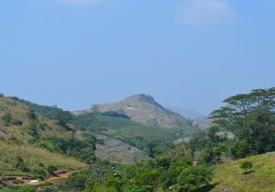 Vagamon Orchidarium and Floriculture Project