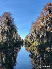 Okefenokee Adventures