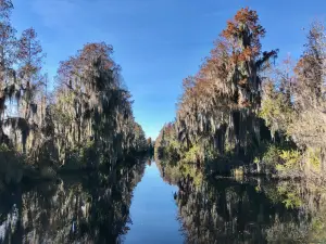 Okefenokee Adventures