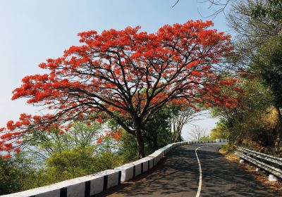 Yelagiri Hills