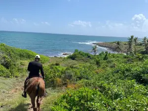 Ranch Anse Macabou