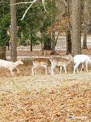 Camp Tonkawa Springs