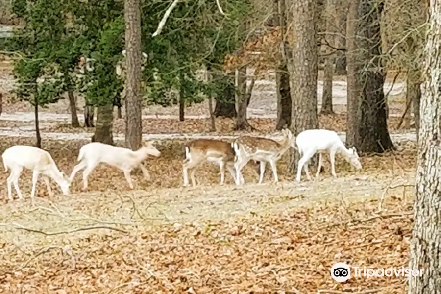 Camp Tonkawa Springs RV Park and Campground Opening Hours, Reviews