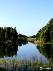 Edward Medard Regional Park