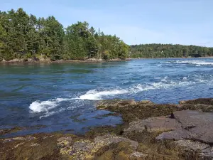 Tidal Falls Preserve