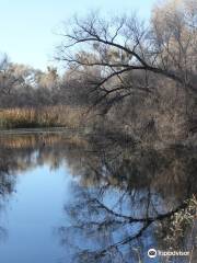 Hassayampa River Preserve