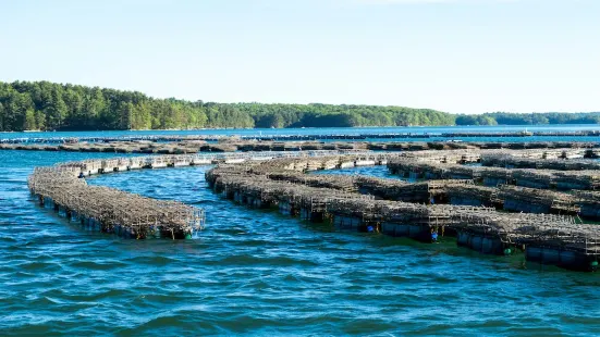 Damariscotta River Cruises