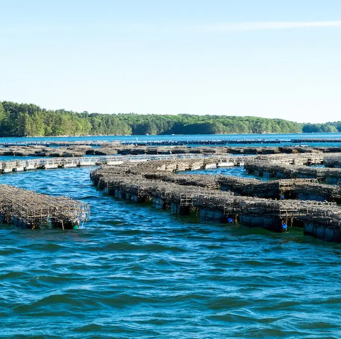 Damariscotta