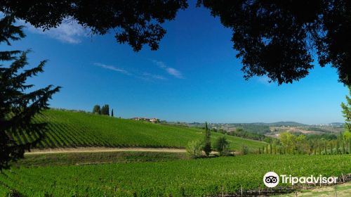 Ruffino - Tenuta di Poggio Casciano