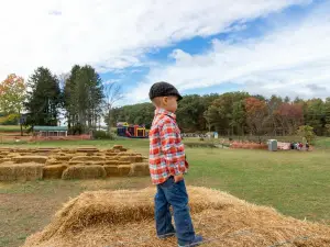 Maylath Farm and Orchard