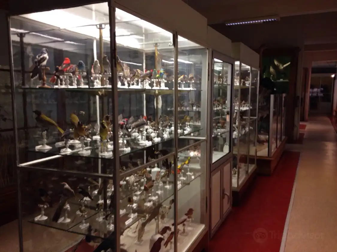 Hotels near Le Musee d'Histoire Naturelle Victor Brun