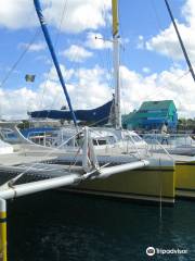 Tiami Catamaran Sailing Cruises