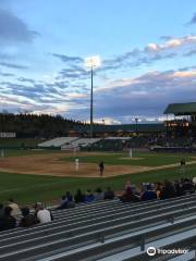 Tennessee Smokies Minor League Baseball and Smokies Park