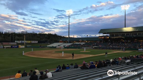 Tennessee Smokies Stadium