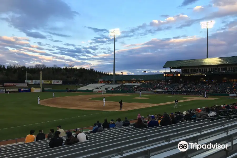 Tennessee Smokies Stadium