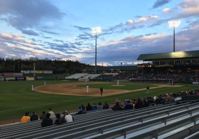 Tennessee Smokies Minor League Baseball and Smokies Park