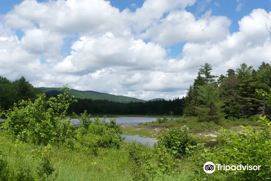 Pillsbury State Park