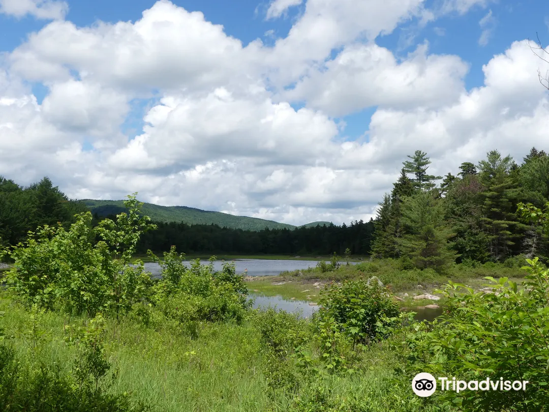 2_Pillsbury State Park