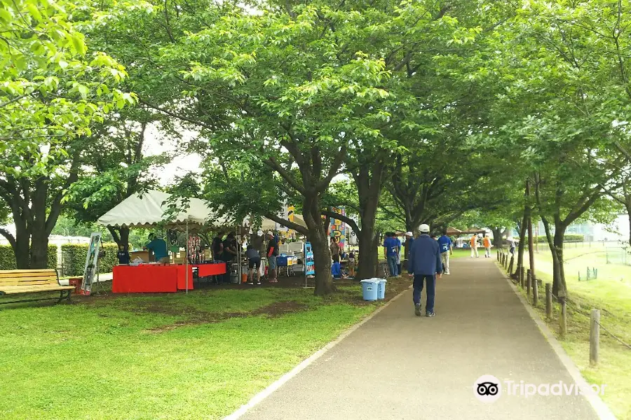 新座市総合運動公園 陸上競技場