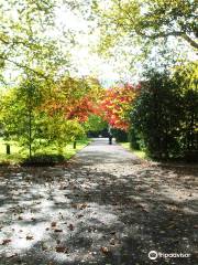 Friedhof Zürich Sihlfeld