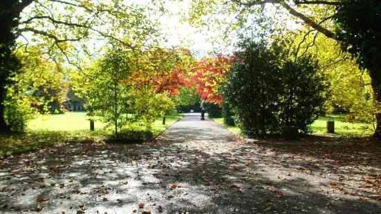 Friedhof Sihlfeld