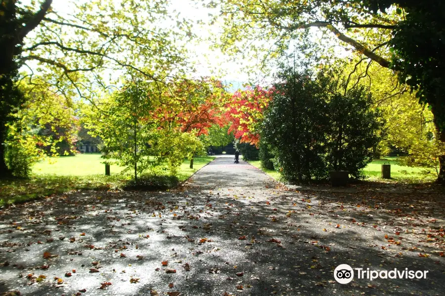 Friedhof Sihlfeld