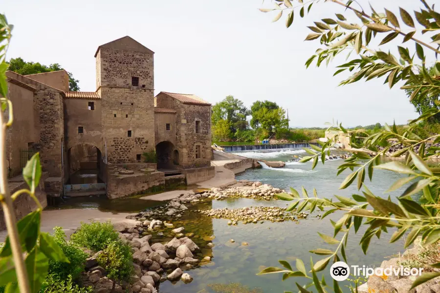 Moulin du Concasseur