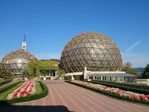 Gradina Botanica Vasile Fati Jibou