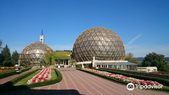 Gradina Botanica Vasile Fati Jibou