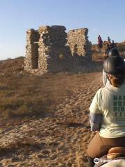 Naxos Horse Riding Club