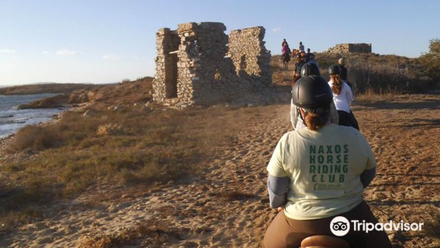 Naxos Horseriding Club