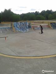 The Jungle skatepark