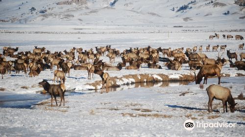 National Elk Refuge