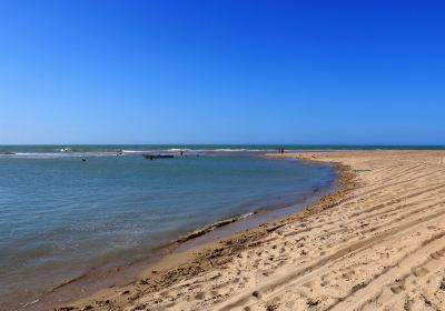 Galinhos Beach