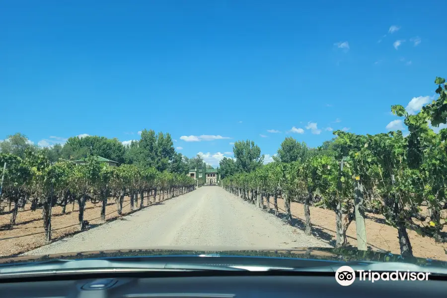 Casa Rondeña Winery